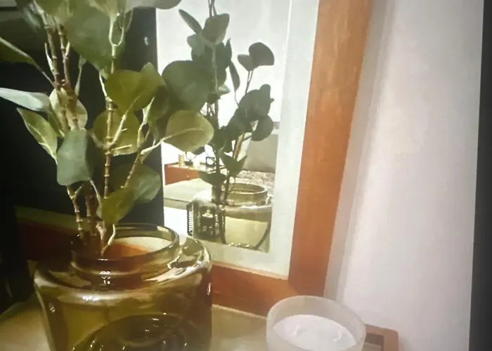 Confort A Daire Valpaços